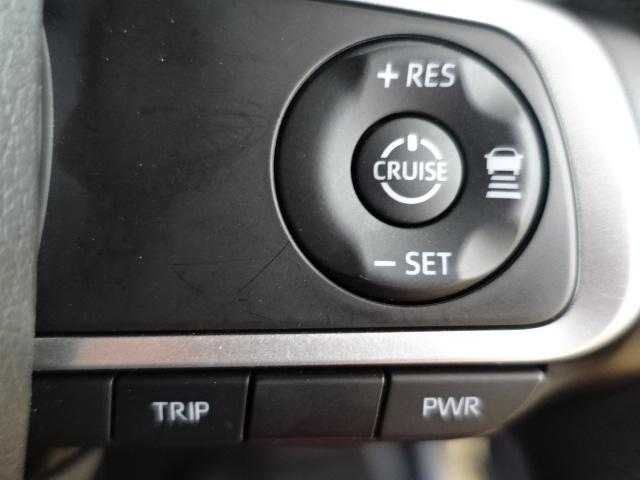 タフト Ｇ（33枚目）