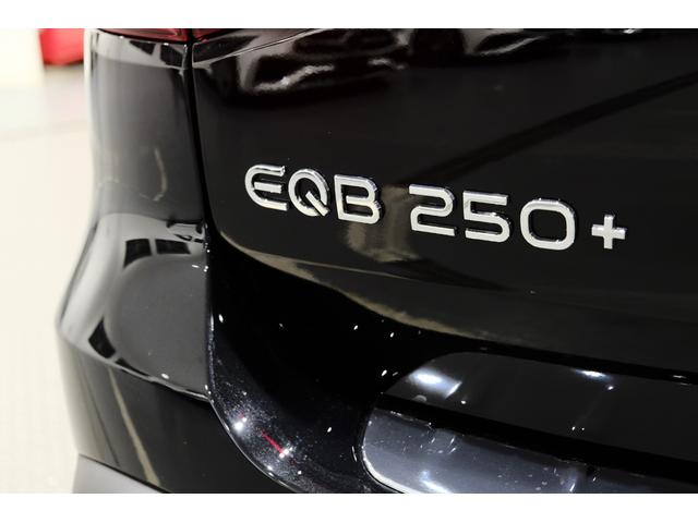EQB EQB250+ AMGラインパッケージ(7枚目)