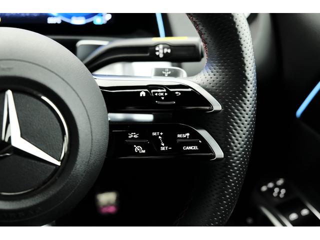 EQB EQB250+ AMGラインパッケージ(12枚目)