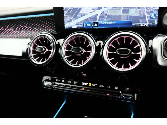 EQB EQB250+ AMGラインパッケージ(18枚目)