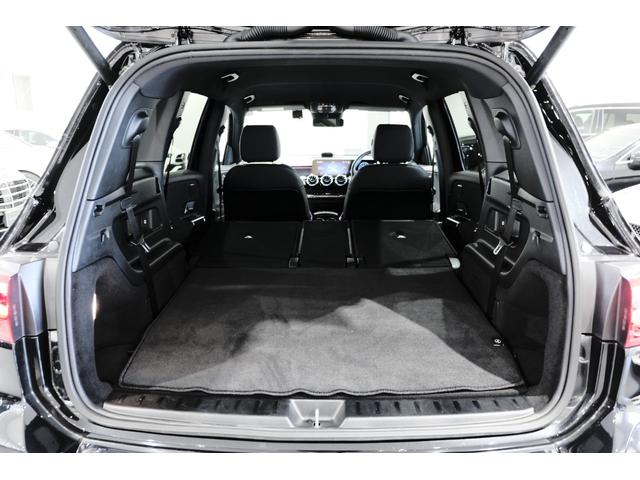 EQB EQB250+ AMGラインパッケージ(39枚目)