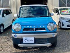 �ϥ��顼 �ǡ����ףġ������ȥҡ������դ������ޡ��ȥ������ե�ե�å� 1157242A30251212W001 2