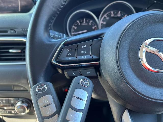 4WD25S Lパッケージ 純正 メモリーナビ/BOSE/シート フルレザー/ヘッドランプ LED/ETC/フルセグTV/アルミホイール 純正 19インチ/キーレスエントリー/オートエアコン/4WD 革シート LEDヘッドランプ(14枚目)