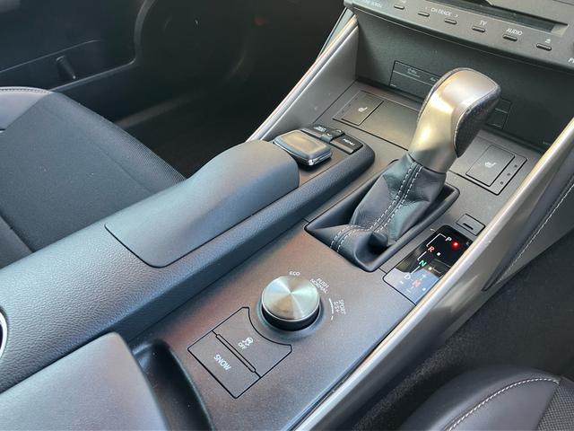 IS IS250 Fスポーツ 純正メモリーナビ フルセグTV バックカメラ Bluetoothオーディオ ETC レザーシート サンルーフ 純正18インチアルミ HIDヘッドライト オートクルーズコントロール(13枚目)