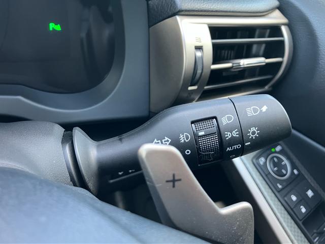 IS IS250 Fスポーツ 純正メモリーナビ フルセグTV バックカメラ Bluetoothオーディオ ETC レザーシート サンルーフ 純正18インチアルミ HIDヘッドライト オートクルーズコントロール(24枚目)