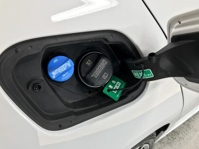 １シリーズ １１８ｄ　Ｍスポーツ　純正１０．２５ＨＤＤナビ　ＵＳＢ　ＢＴ　アップルカープレイ　衝突軽減ブレーキ　追従クルコン　車線逸脱　ブラインドスポット　前後ドラレコ　バックカメラ　パワーシート　ハーフレザーシート　パワーバックドア（48枚目）