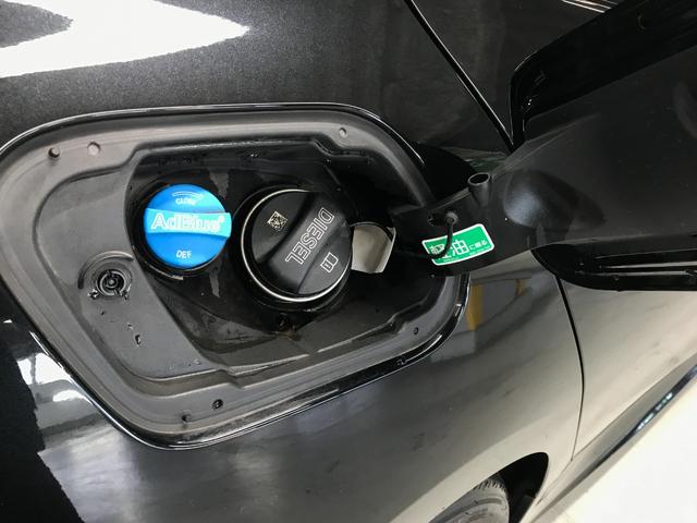 1シリーズ 118d Mスポーツ エディションジョイ+ 純正HDDナビ USB BT アップルカープレイ 衝突軽減ブレーキ 追従クルコン 車線逸脱 ブラインドスポット 前後ソナー バックカメラ ISTOP 前後ドラレコ 衝突回避前車接近警告 ETC2.0(46枚目)