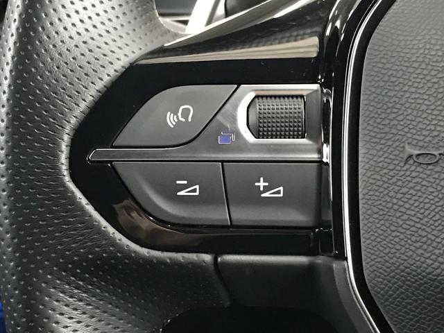 3008 GTライン 純正ナビ フルセグTV USB BT 衝突軽減ブレーキ 追従クルコン レーンキープ ブラインドスポット バックカメラ LEDオートライト インテリジェントハイビーム パワーバックドア ETC(31枚目)