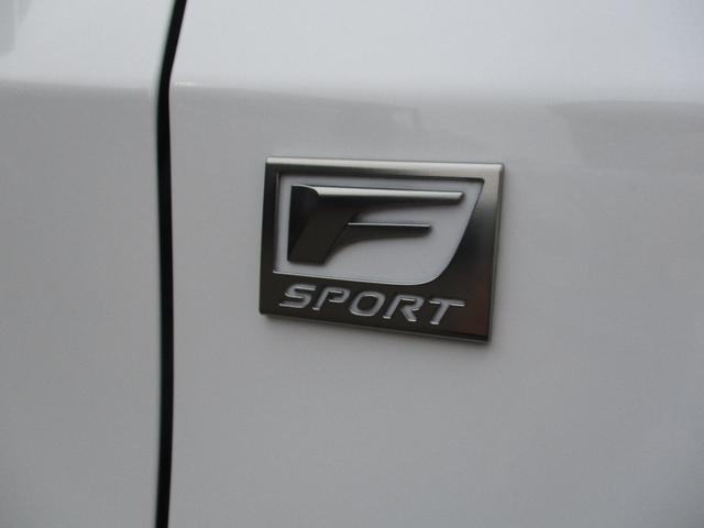 RX450h Fスポーツ(9枚目)
