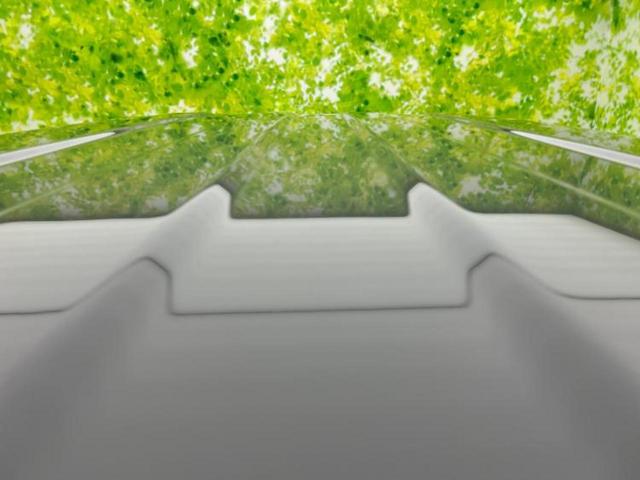 ジムニーシエラ 4WD JC 保証書/社外 SDナビ/衝突安全装置/シートヒーター/車線逸脱防止支援システム/ヘッドランプ LED/EBD付ABS/横滑り防止装置/クルーズコントロール/フルセグTV/DVD 衝突被害軽減システム(50枚目)