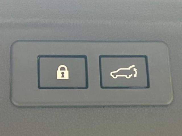 フォレスター 4WDアドバンス 保証書/社外 10インチ SDナビ/スマートリヤビューミラー/衝突安全装置/シートヒーター/車線逸脱防止支援システム/シート ハーフレザー/パーキングアシスト バックガイド 衝突被害軽減システム(28枚目)