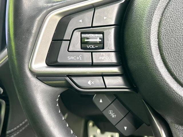 フォレスター 4WDアドバンス 保証書/社外 10インチ SDナビ/スマートリヤビューミラー/衝突安全装置/シートヒーター/車線逸脱防止支援システム/シート ハーフレザー/パーキングアシスト バックガイド 衝突被害軽減システム(30枚目)