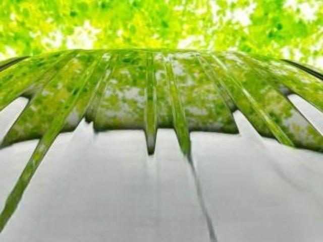 N-BOXカスタム ターボコーディネートスタイル2トーン 新品タイヤ/社外 SDナビ/ホンダセンシング/両側電動スライドドア/シートヒーター/車線逸脱防止支援システム/シート 合皮/ドライブレコーダー 社外/ヘッドランプ LED/Bluetooth接続(56枚目)