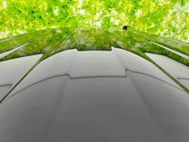 スペーシアカスタム ハイブリッドＸＳ　新品タイヤ／保証書／ディスプレイオーディオ＋ナビ／衝突安全装置／両側電動スライドドア／シートヒーター／全方位モニター用カメラ／車線逸脱防止支援システム／シート　ハーフレザー　衝突被害軽減システム（59枚目）