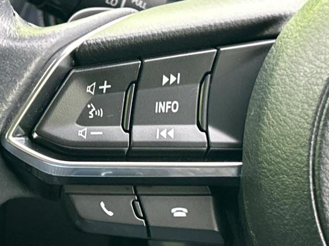 CX-3 20SプロアクティブSパッケージ 新品タイヤ/BOSE/保証書/純正 SDナビ/アイアクティブセンス(マツダ)/シートヒーター 前席/360°ビューモニター/車線逸脱防止支援システム/シート ハーフレザー/ドライブレコーダー 純正(29枚目)
