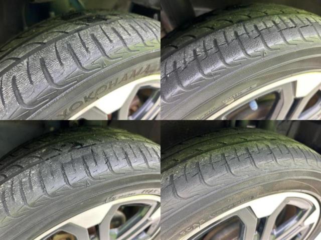 �u���̎Ԃ̎ʐ^�������ƌ������v�u��Ԃ��C�ɂȂ�v�u���̑����͂��Ă���H�v�ǂ�ȏ����ȋ^��ł����C�y�ɂ��₢���킹���������I