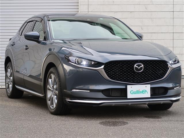 CX-30 20S プロアクティブ ツーリングセレクション 4WD☆ワンオーナー☆BOSEサウンドシステム☆360°セーフティパッケージ☆アクティブドライビングディスプレイ☆パーキングセンサー☆LEDヘッドライト☆リアパワーゲート☆運転席メモリー機能付きシート(25枚目)