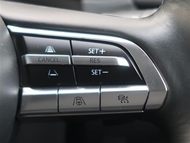 CX-30 20S プロアクティブ ツーリングセレクション 4WD☆ワンオーナー☆BOSEサウンドシステム☆360°セーフティパッケージ☆アクティブドライビングディスプレイ☆パーキングセンサー☆LEDヘッドライト☆リアパワーゲート☆運転席メモリー機能付きシート(47枚目)