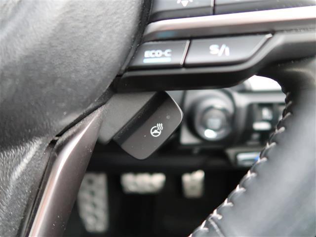 フォレスター アドバンス 4WD ワンオーナー プリクラッシュ☆車線逸脱警報☆SI-DRIVE☆パドルシフト☆ACC☆ステアリングヒーター☆FRシートヒーター☆Fドライブレコーダー☆ETC☆メモリーハイトリアゲート☆(77枚目)