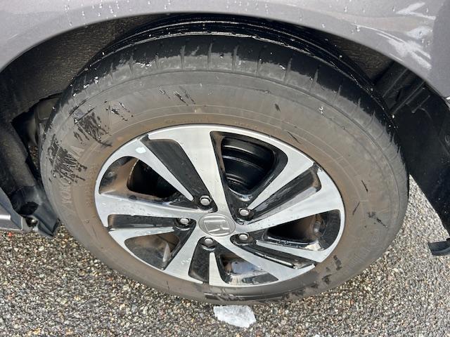 �^�C���E�z�C�[���i���A�j�̉摜�ł��B