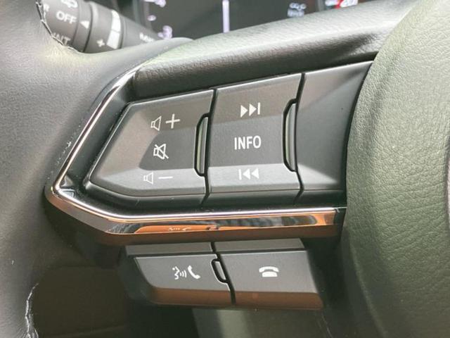 ＣＸ－８ ２５Ｓスポーツアピアランス　ＢＯＳＥ／保証書／純正　１０インチ　ＳＤナビ／アイアクティブセンス（マツダ）／シートヒーター　前席／全方位モニター／車線逸脱防止支援システム／シート　合皮／電動バックドア／ドライブレコーダー　前後（29枚目）
