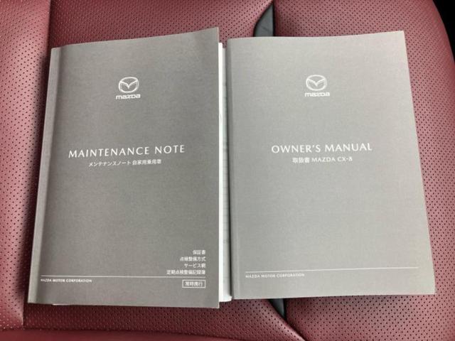 ＣＸ－８ ２５Ｓスポーツアピアランス　ＢＯＳＥ／保証書／純正　１０インチ　ＳＤナビ／アイアクティブセンス（マツダ）／シートヒーター　前席／全方位モニター／車線逸脱防止支援システム／シート　合皮／電動バックドア／ドライブレコーダー　前後（37枚目）