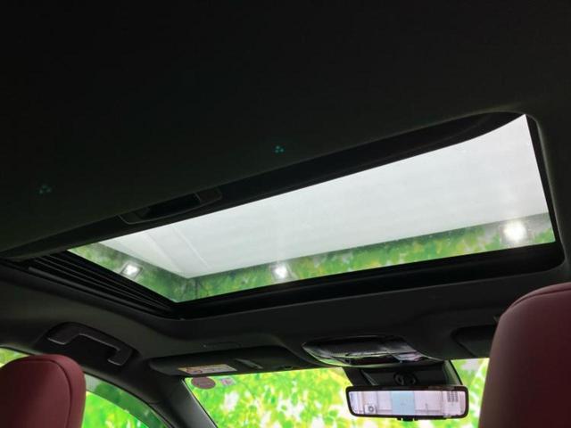 NX 4WD NX250バージョンL サンルーフ/純正エアロ/保証書/純正 SDナビ/衝突安全装置/シートヒーター/車線逸脱防止支援システム/シート フルレザー/電動バックドア/ヘッドランプ LED/ETC/EBD付ABS 革シート(31枚目)