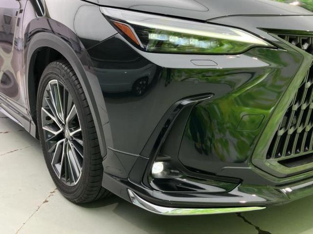 NX 4WD NX250バージョンL サンルーフ/純正エアロ/保証書/純正 SDナビ/衝突安全装置/シートヒーター/車線逸脱防止支援システム/シート フルレザー/電動バックドア/ヘッドランプ LED/ETC/EBD付ABS 革シート(47枚目)