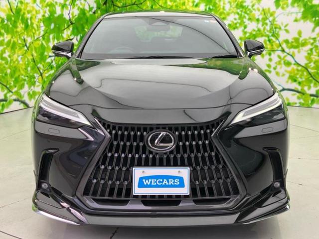 NX 4WD NX250バージョンL サンルーフ/純正エアロ/保証書/純正 SDナビ/衝突安全装置/シートヒーター/車線逸脱防止支援システム/シート フルレザー/電動バックドア/ヘッドランプ LED/ETC/EBD付ABS 革シート(49枚目)