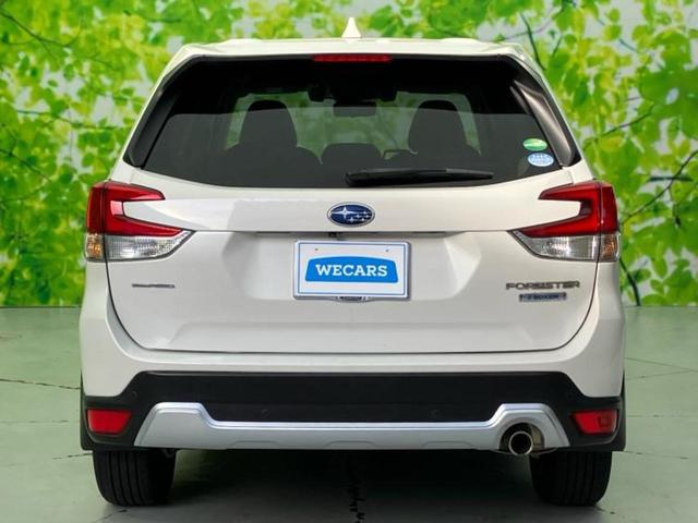 ���Y�Ԃ���A���Ԃ܂ő��l�Ȃ��q�l�̃j�[�Y�̂������ł���悤�ɁA�S���K�͂ŖL�x�ȍ݌ɓW�J�I�Ԃ̂��ƂȂ�v�d�b�`�q�r�ցI