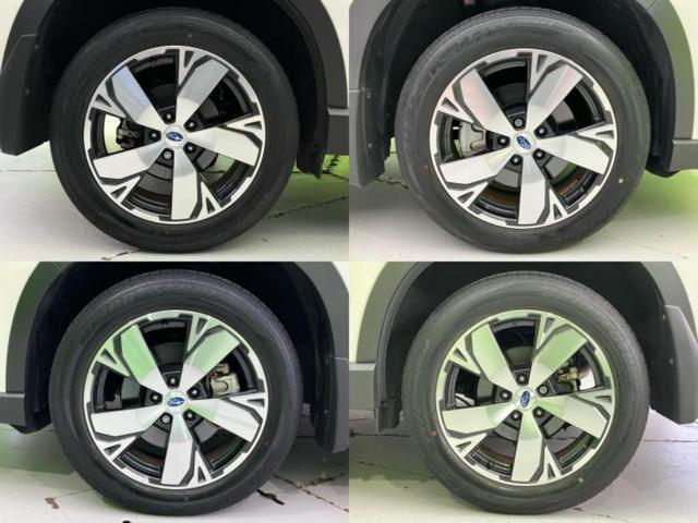 �u���̎Ԃ̎ʐ^�������ƌ������v�u��Ԃ��C�ɂȂ�v�u���̑����͂��Ă���H�v�ǂ�ȏ����ȋ^��ł����C�y�ɂ��₢���킹���������I