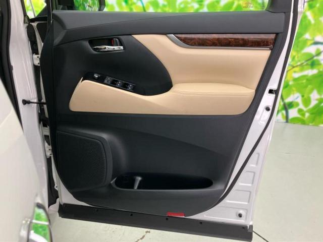 �u���̎Ԃ̎ʐ^�������ƌ������v�u��Ԃ��C�ɂȂ�v�u���̑����͂��Ă���H�v�ǂ�ȏ����ȋ^��ł����C�y�ɂ��₢���킹���������I