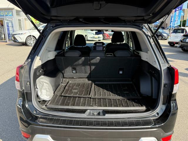 フォレスター アドバンス(19枚目)