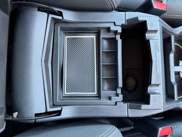 フォレスター アドバンス(31枚目)