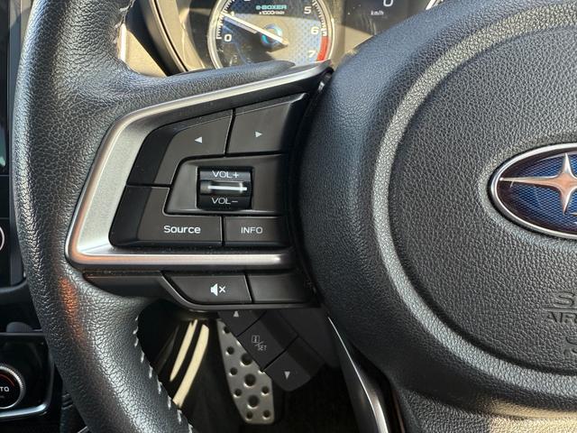 フォレスター アドバンス(35枚目)