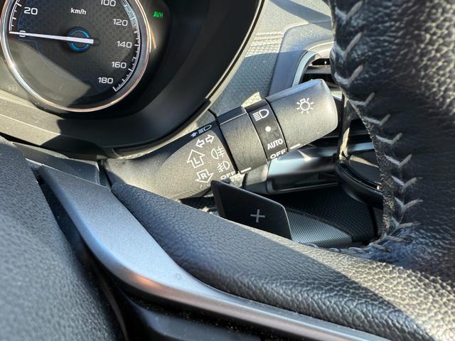 フォレスター アドバンス(38枚目)