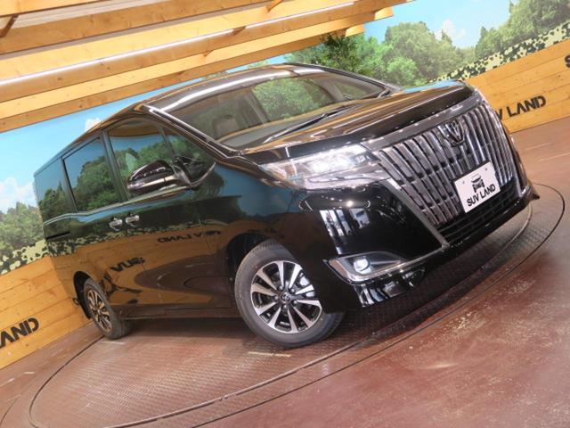 Gi プレミアムパッケージ 新車未登録 ムーンルーフ(18枚目)