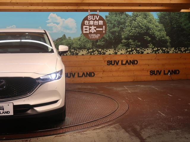 20S プロアクティブ コネクトナビ 禁煙車 衝突軽減 レーダークルーズ バックカメラ Bluetooth フルセグ ETC ドラレコ シートヒーター LEDヘッド パワーシート 純正17インチアルミ パワーバックドア(45枚目)