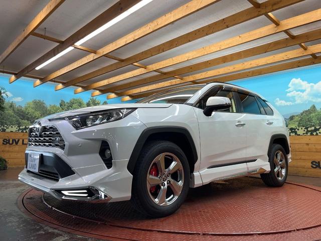 ＲＡＶ４ Ｇ　４ＷＤ　モデリスタエアロ　９型純正ナビ　全周囲カメラ　寒冷地仕様　ＡＣ１００Ｖ電源　トヨタセーフティセンス　レーダークルーズ　禁煙車　パワーバックドア　合皮シート　前席シートヒーター　パワーシート（24枚目）