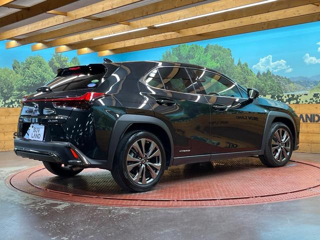 UX UX250h Fスポーツ 10型メーカー純正ナビ 全周囲カメラ プリクラッシュセーフティ レーダークルーズ 禁煙車 電動リアゲート 前席シートベンチレーション 前後ドラレコ コーナーセンサー スマートキー LEDヘッド ETC(17枚目)