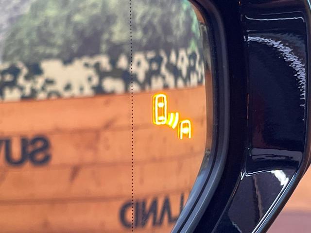 UX UX250h Fスポーツ 10型メーカー純正ナビ 全周囲カメラ プリクラッシュセーフティ レーダークルーズ 禁煙車 電動リアゲート 前席シートベンチレーション 前後ドラレコ コーナーセンサー スマートキー LEDヘッド ETC(32枚目)