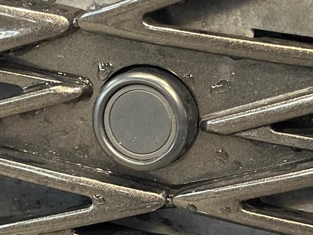 UX UX250h Fスポーツ 10型メーカー純正ナビ 全周囲カメラ プリクラッシュセーフティ レーダークルーズ 禁煙車 電動リアゲート 前席シートベンチレーション 前後ドラレコ コーナーセンサー スマートキー LEDヘッド ETC(33枚目)