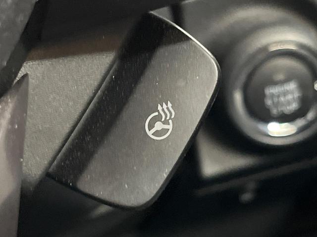 フォレスター アドバンス　４ＷＤ　８型純正ナビ　バックカメラ　アイサイト　レーダークルーズ　禁煙車　パワーバックドア　ハーフレザーシート　シートヒーター　パワーシート　ドラレコ　コーナーセンサー　レーンキープ　スマートキー（47枚目）