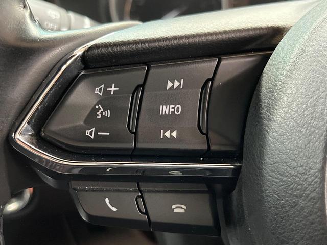 ＣＸ－８ ２５Ｔ　プロアクティブ　４ＷＤ　マツダコネクト　全周囲カメラ　スマートブレーキ　レーダークルーズ　禁煙車　電動リアゲート　パワーシート　ドラレコ　コーナーセンサー　スマートキー　ＬＥＤヘッド　ＥＴＣ（53枚目）