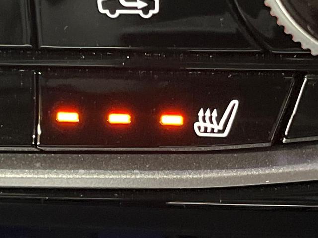 フォレスター アドバンス　４ＷＤ　サンルーフ　ＳＤナビ　サイド＆バックカメラ　レーダークルーズ　ブラインドスポットモニタ　全席シートヒーター　電動リアゲート　レザーシート　ドラレコ　コーナーセンサー　スマートキー　ＬＥＤヘッド（48枚目）