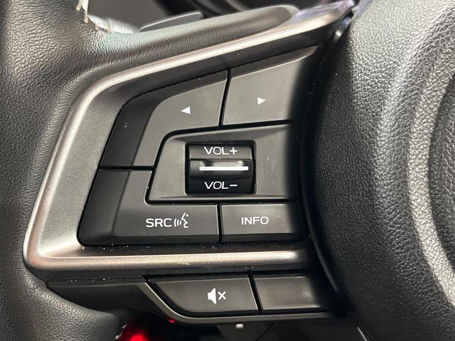 フォレスター アドバンス　４ＷＤ　サンルーフ　ＳＤナビ　サイド＆バックカメラ　レーダークルーズ　ブラインドスポットモニタ　全席シートヒーター　電動リアゲート　レザーシート　ドラレコ　コーナーセンサー　スマートキー　ＬＥＤヘッド（50枚目）