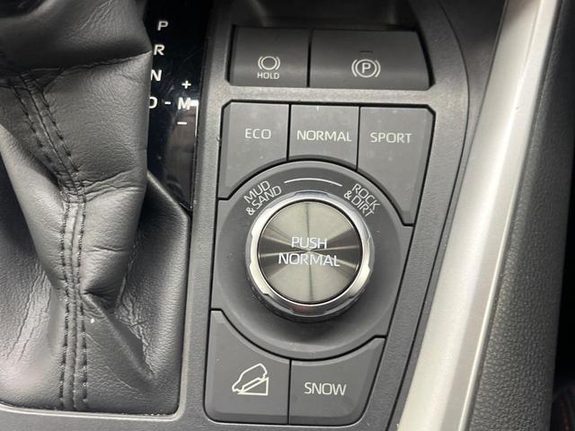 RAV4 アドベンチャー オフロードパッケージ 4WD 全周囲カメラ トヨタセーフティ レーダークルーズ パワーバックドア 合皮シート 前席シートヒーター 前席シートエアコン 運転席パワーシート ドラレコ コーナーセンサー(46枚目)