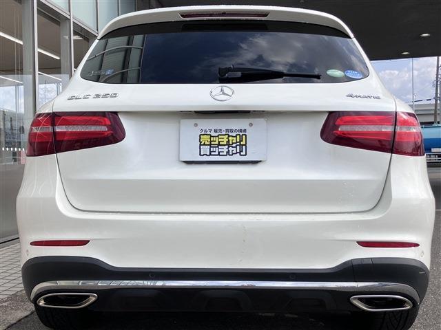 ����A���Ђ�ʂ��đf�G�ȃJ�[���C�t�����͂��ł���΂ƍl���Ă���܂��B