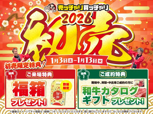 N-BOX G・ターボLパッケージ 純正ナビ★フルセグTV★バックカメラ★両側電動スライドドア★純正アルミホイール★スマートキー★プッシュスタート★ETC★パワーウィンドウ★フロアマット★横滑り防止装置(2枚目)