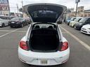 VOLKSWAGEN THE BEETLE